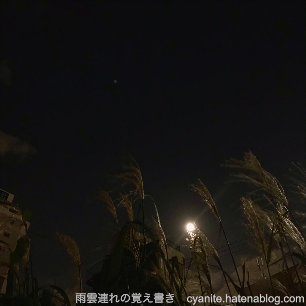 f:id:cyanite:20240921182830j:image