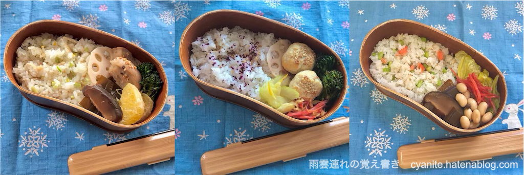 f:id:cyanite:20250208224850p:image