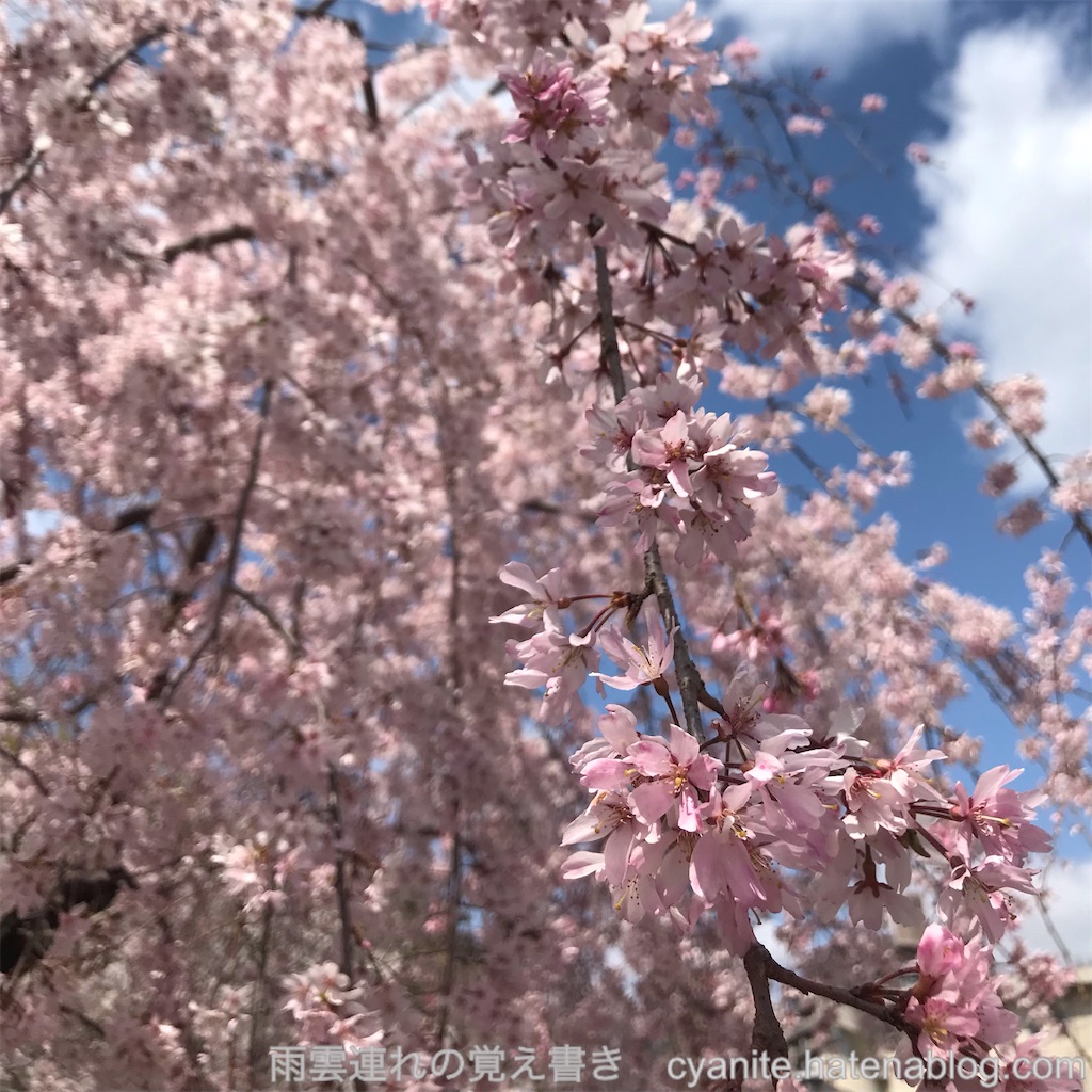 f:id:cyanite:20250405003751j:image