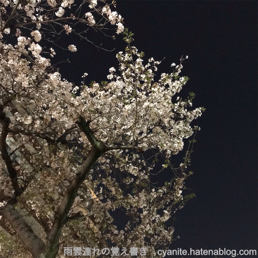 f:id:cyanite:20250411212736j:image