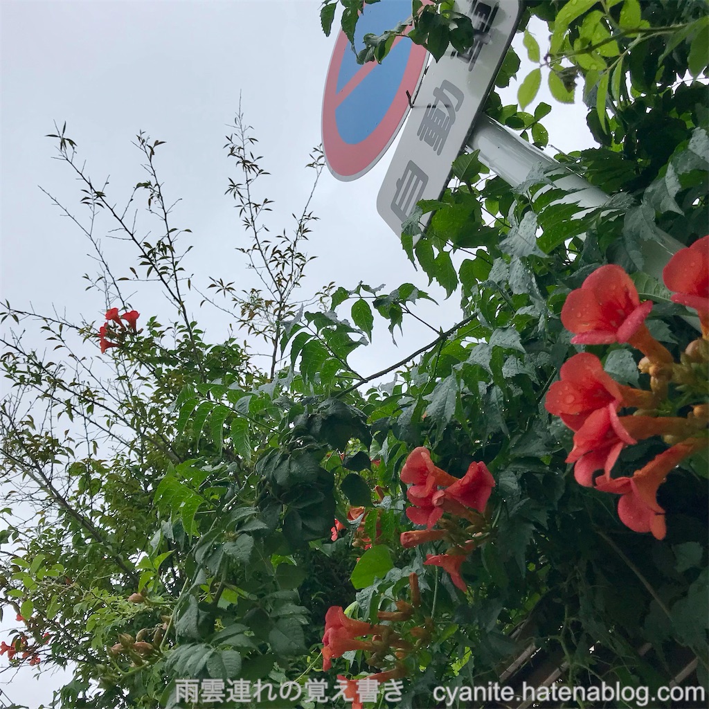 f:id:cyanite:20250615091549j:image