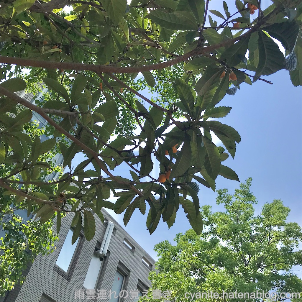 f:id:cyanite:20250621091647j:image