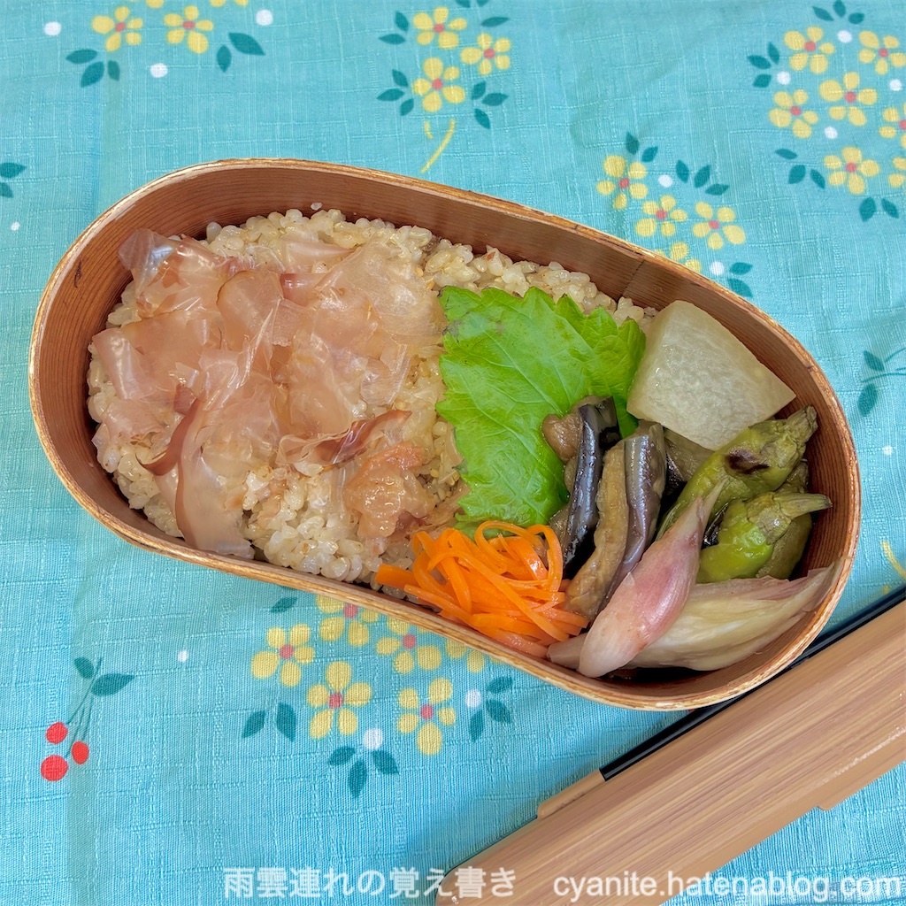 f:id:cyanite:20250822221527j:image