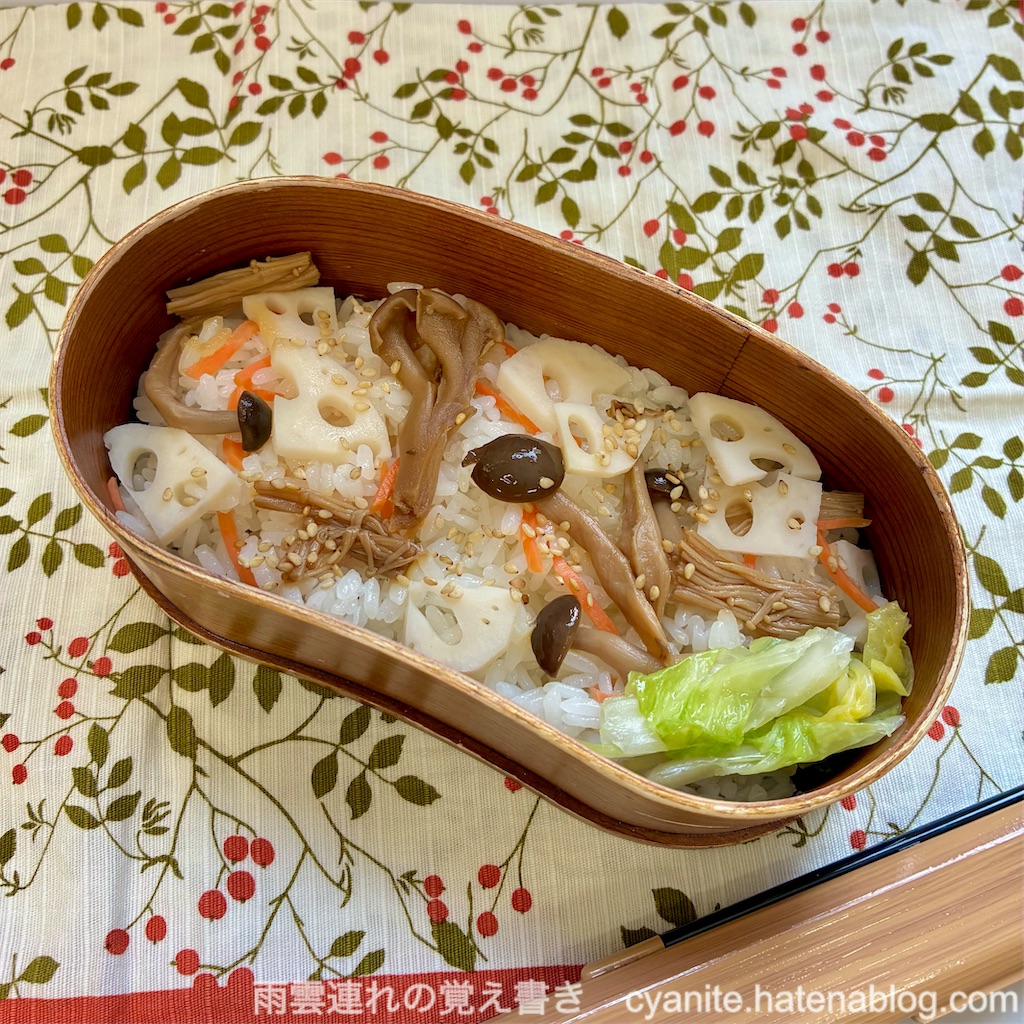 f:id:cyanite:20251124122752j:image f:id:cyanite:20251124122752j:image