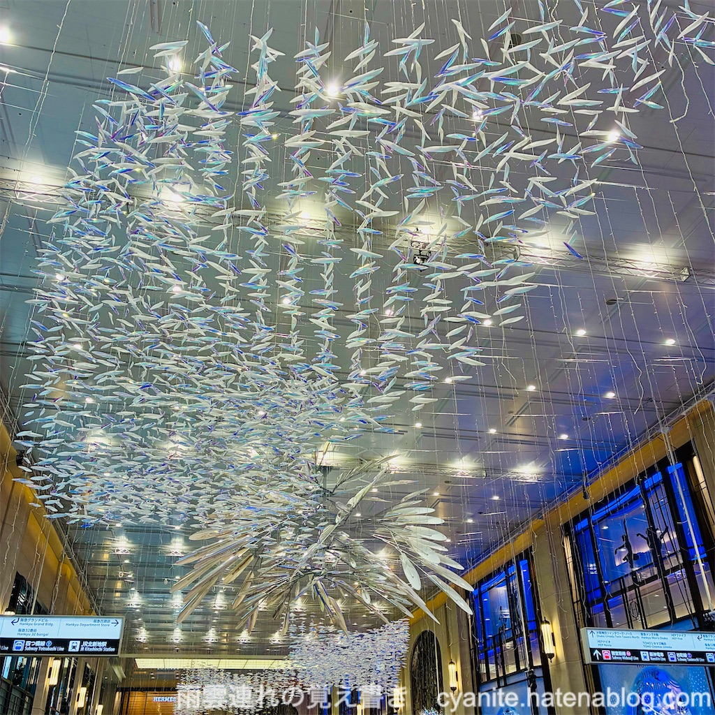 f:id:cyanite:20251124122809j:image f:id:cyanite:20251124122809j:image