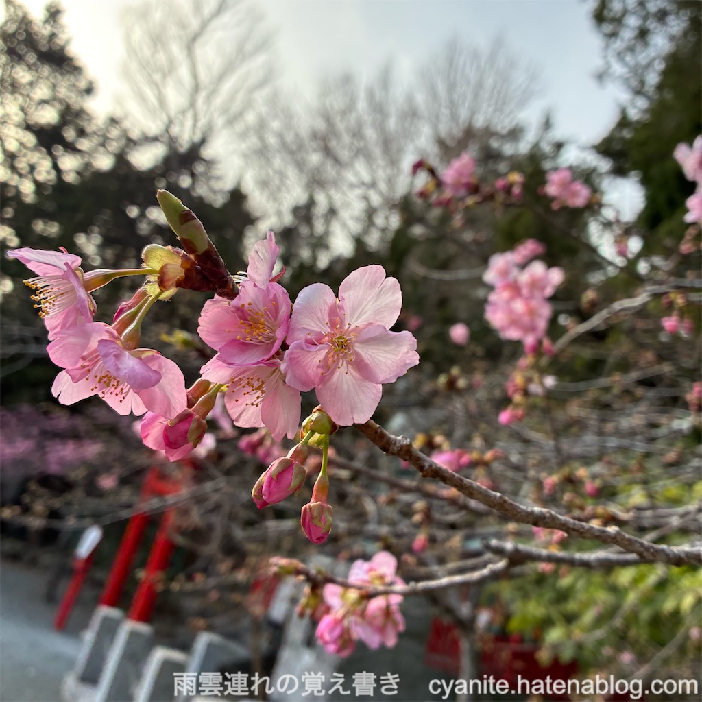 f:id:cyanite:20260210074018j:image