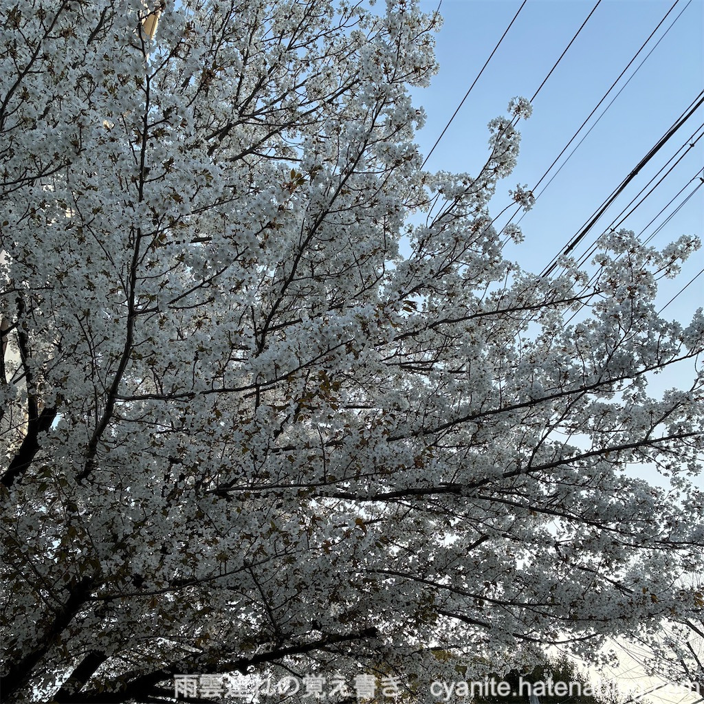 f:id:cyanite:20260329114324j:image