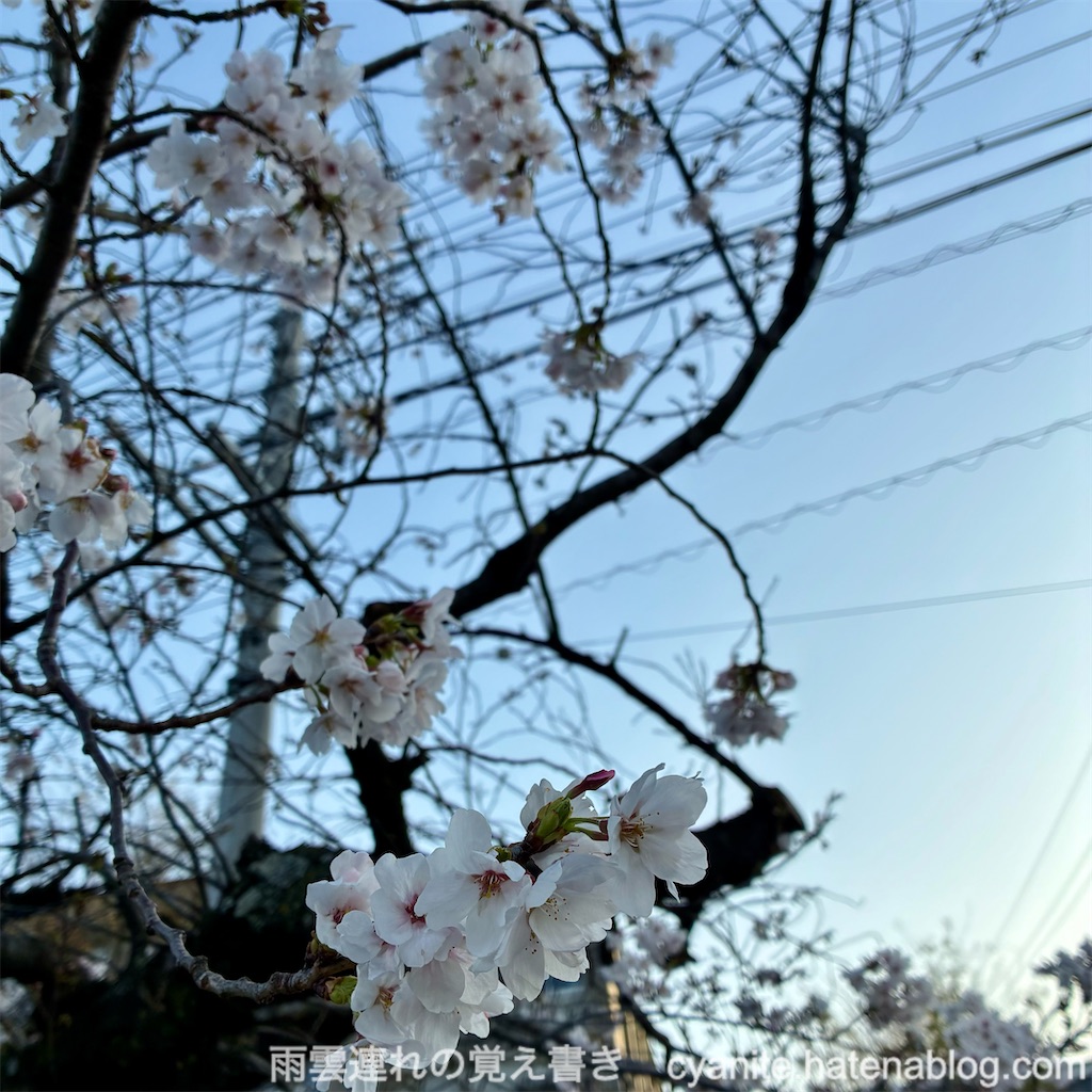 f:id:cyanite:20260329114328j:image