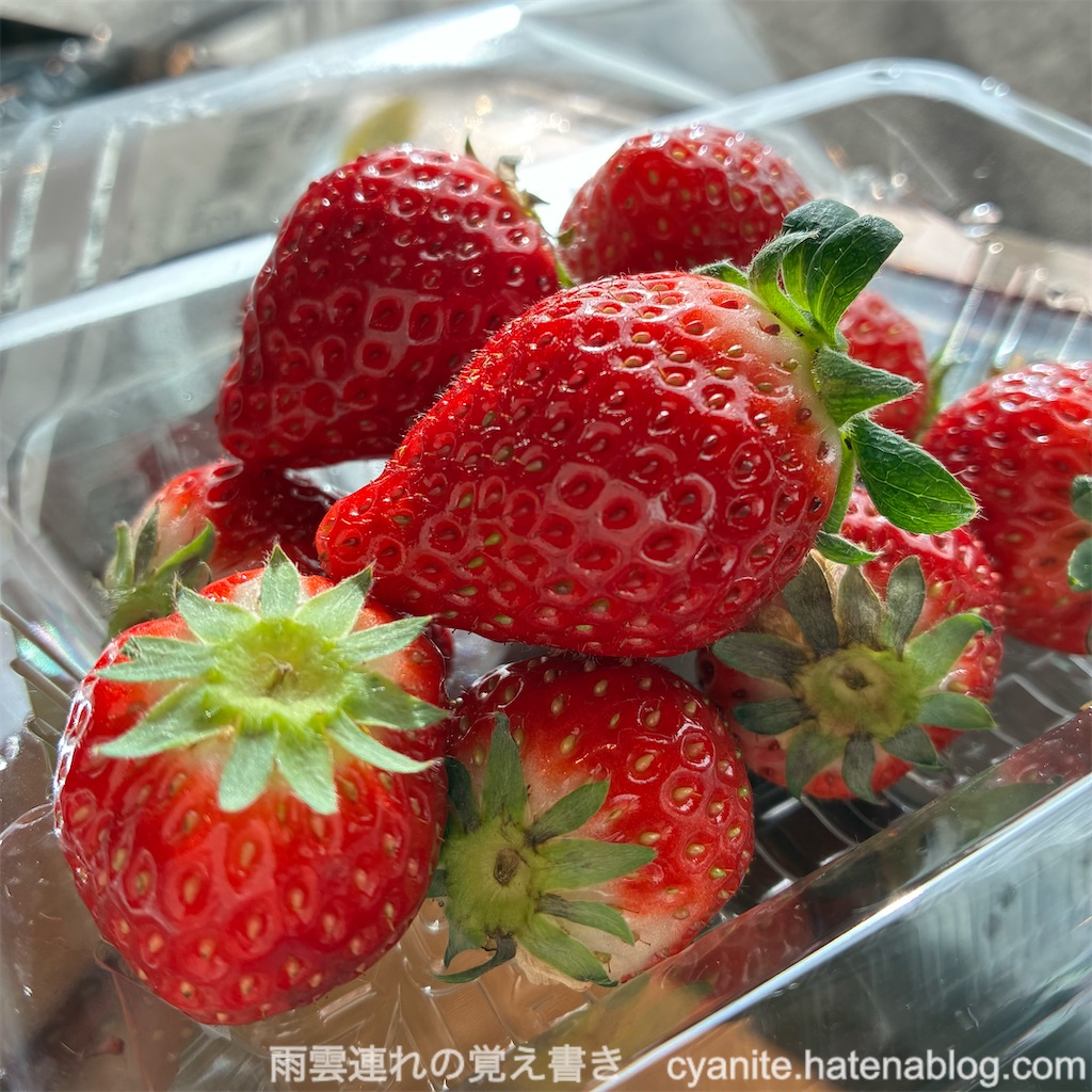 f:id:cyanite:20260329114331j:image