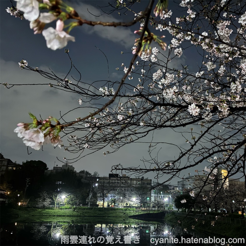 f:id:cyanite:20260405140613j:image