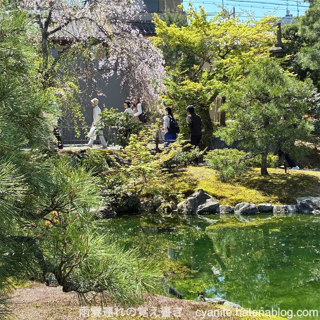 f:id:cyanite:20260419142911j:image f:id:cyanite:20260419142911j:image
