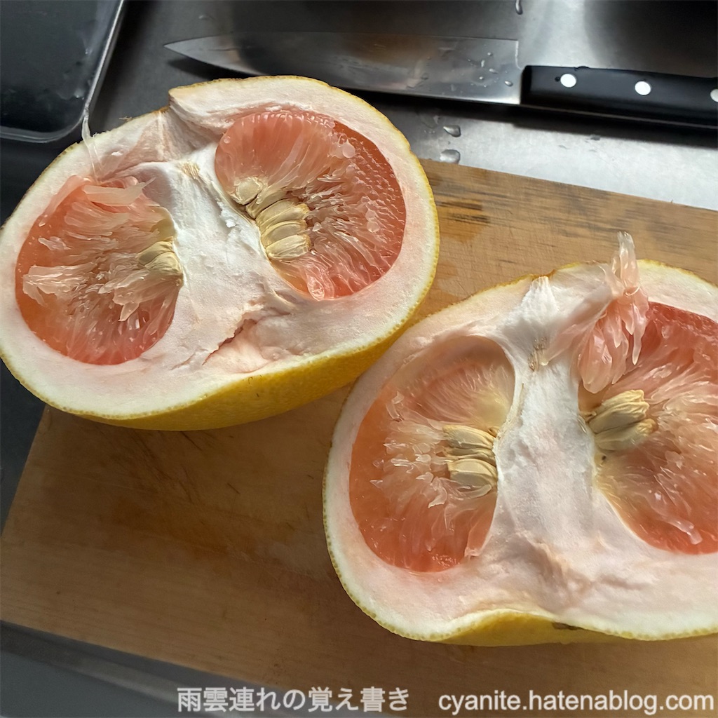 f:id:cyanite:20260429095526j:image f:id:cyanite:20260429095526j:image