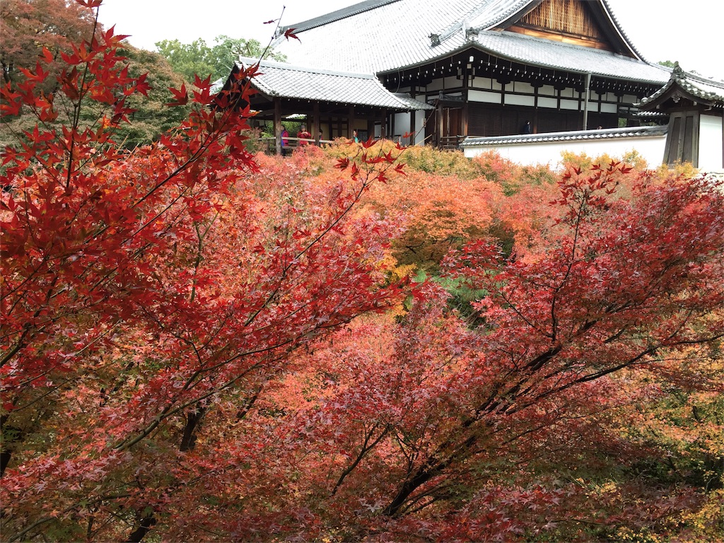 f:id:cyano18:20171121091550j:image f:id:cyano18:20171121091550j:image