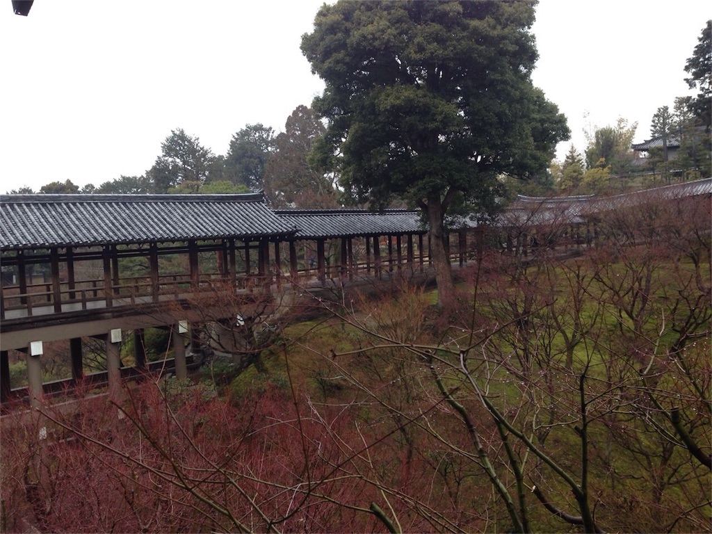 f:id:cyano18:20171121092614j:image f:id:cyano18:20171121092614j:image