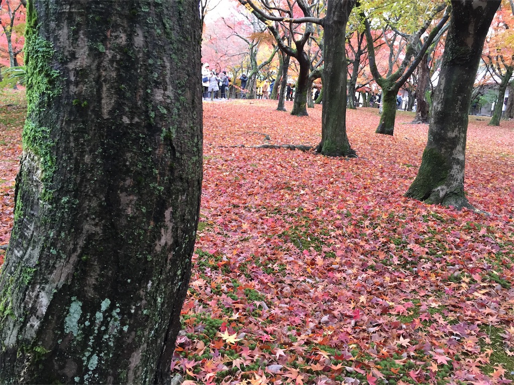 f:id:cyano18:20171121092934j:image f:id:cyano18:20171121092934j:image