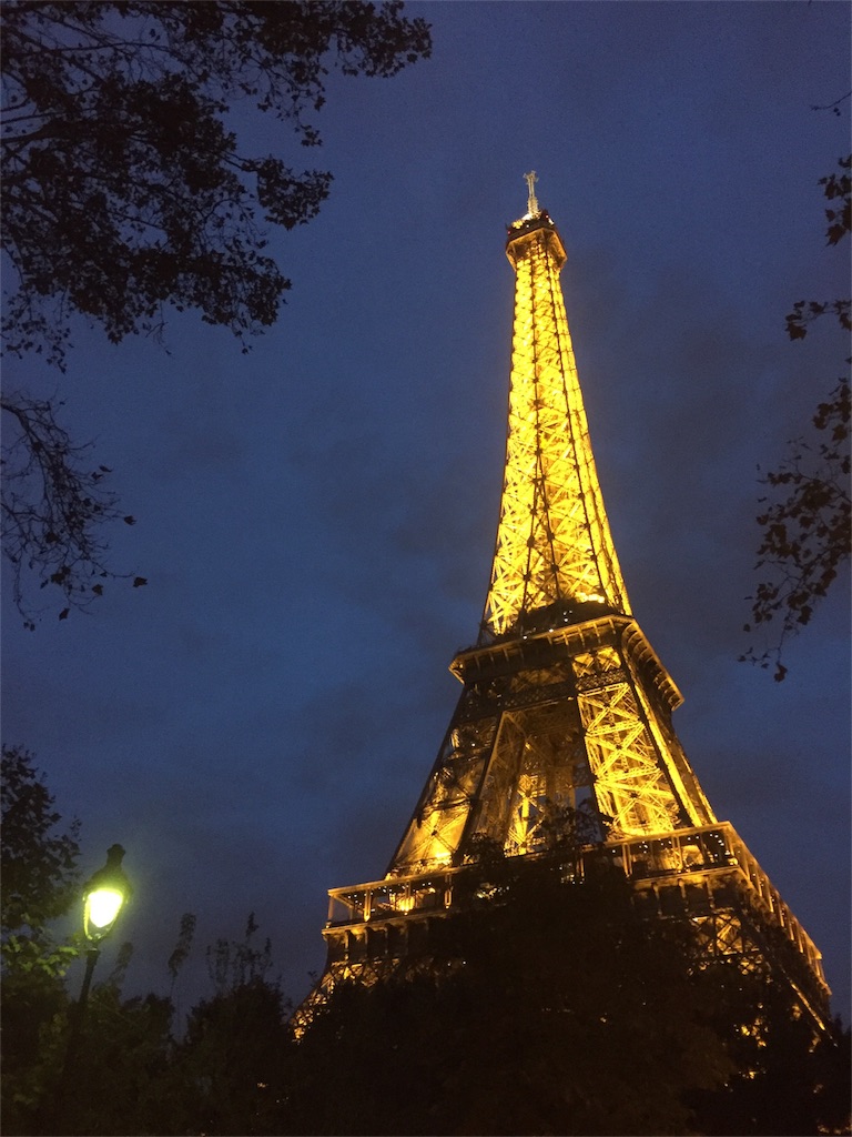 エッフェル塔のシャンパン フラッシュを見る パリの夜空に輝く金色のライトアップ ブログを趣味にしました
