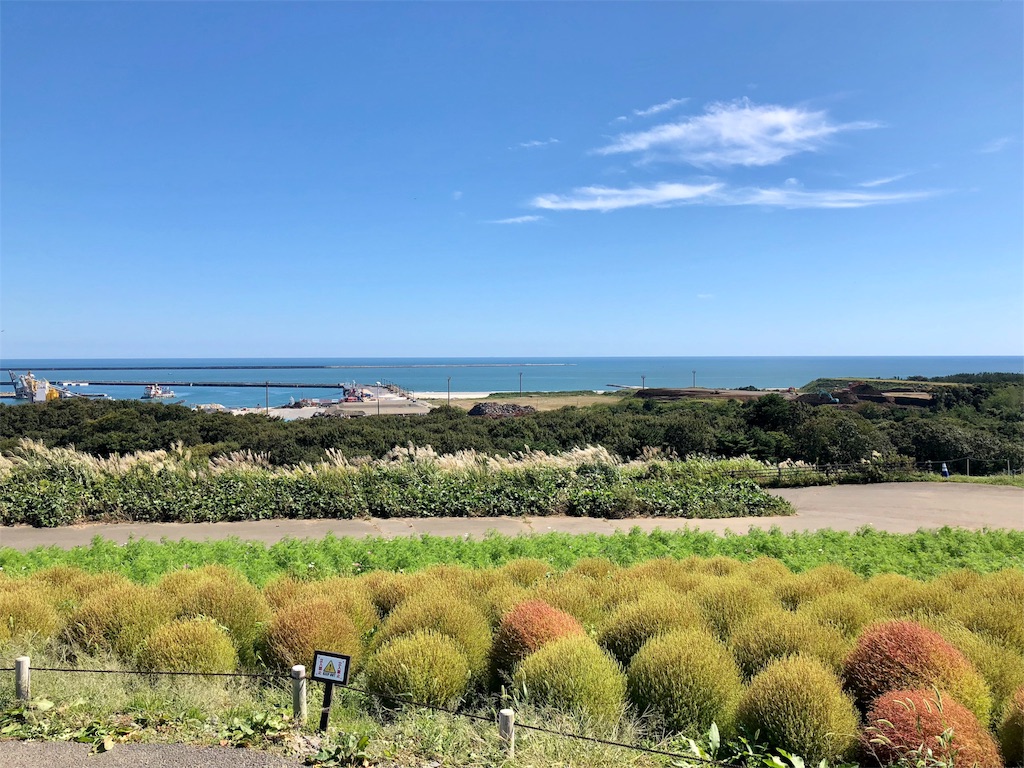 f:id:cyano18:20181006135851j:image f:id:cyano18:20181006135851j:image