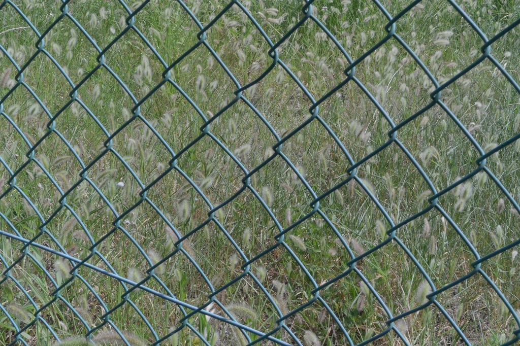f:id:cyappy911:20200818134731j:plain