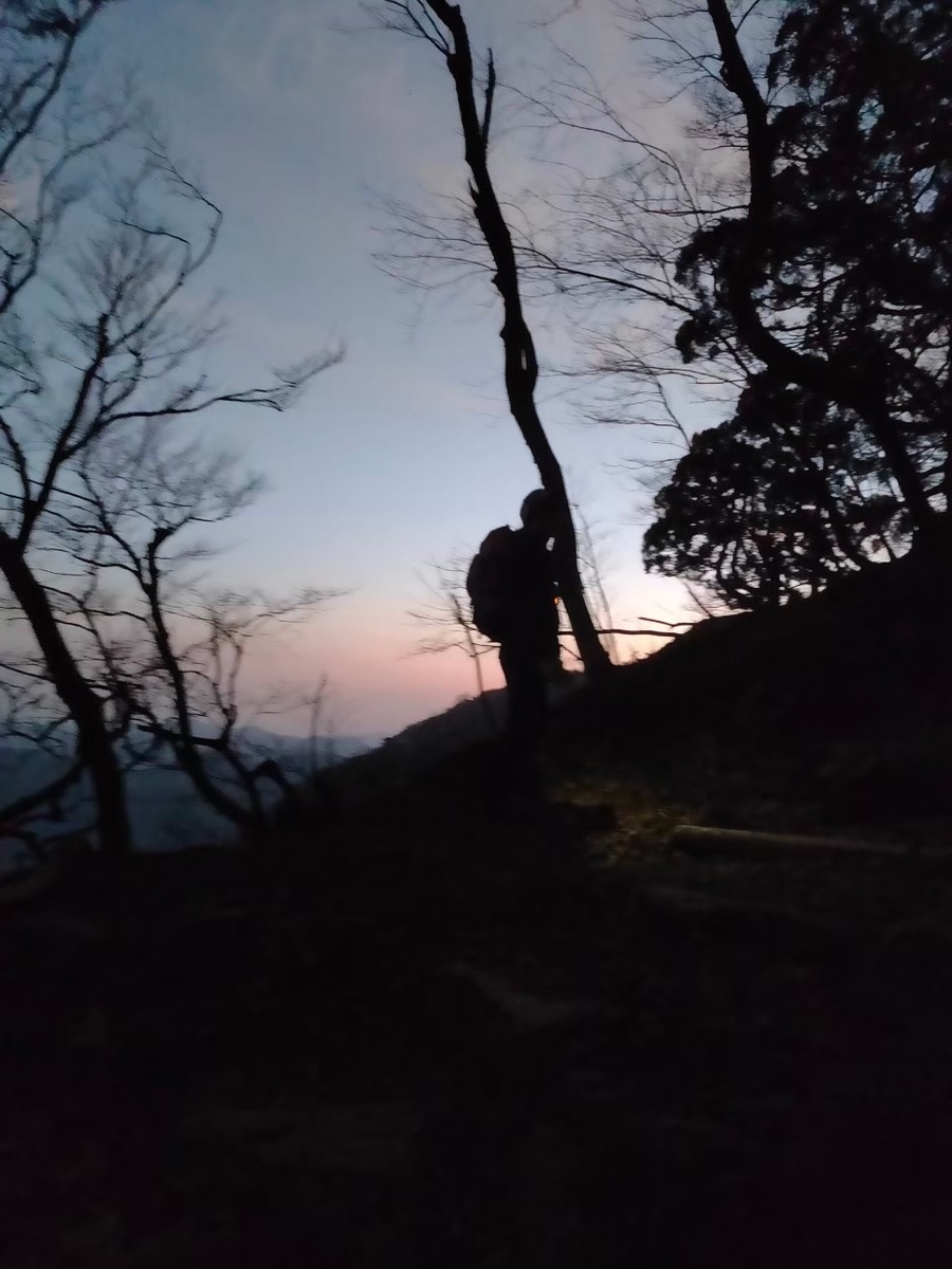 f:id:cyatumi:20200413095148j:plain