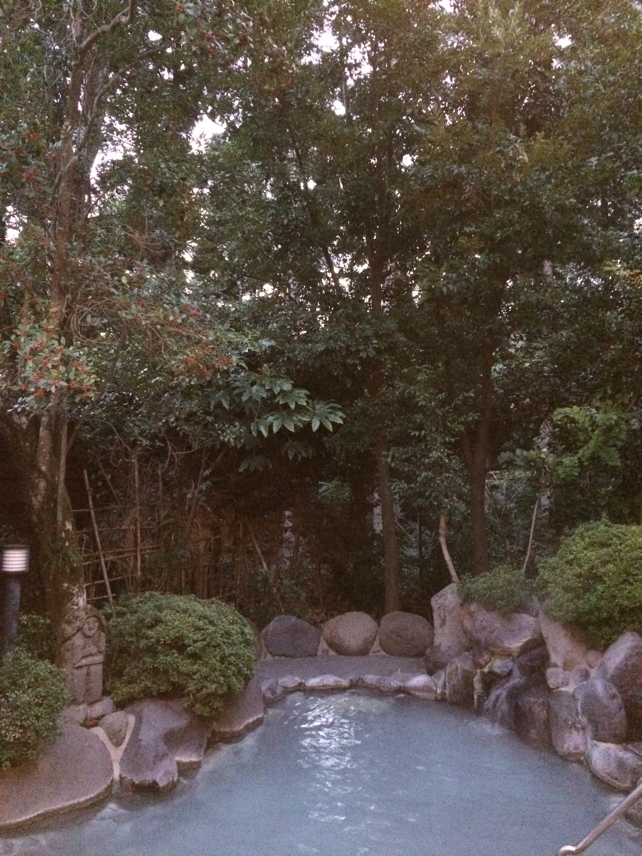f:id:cyazuke:20240624221519j:image