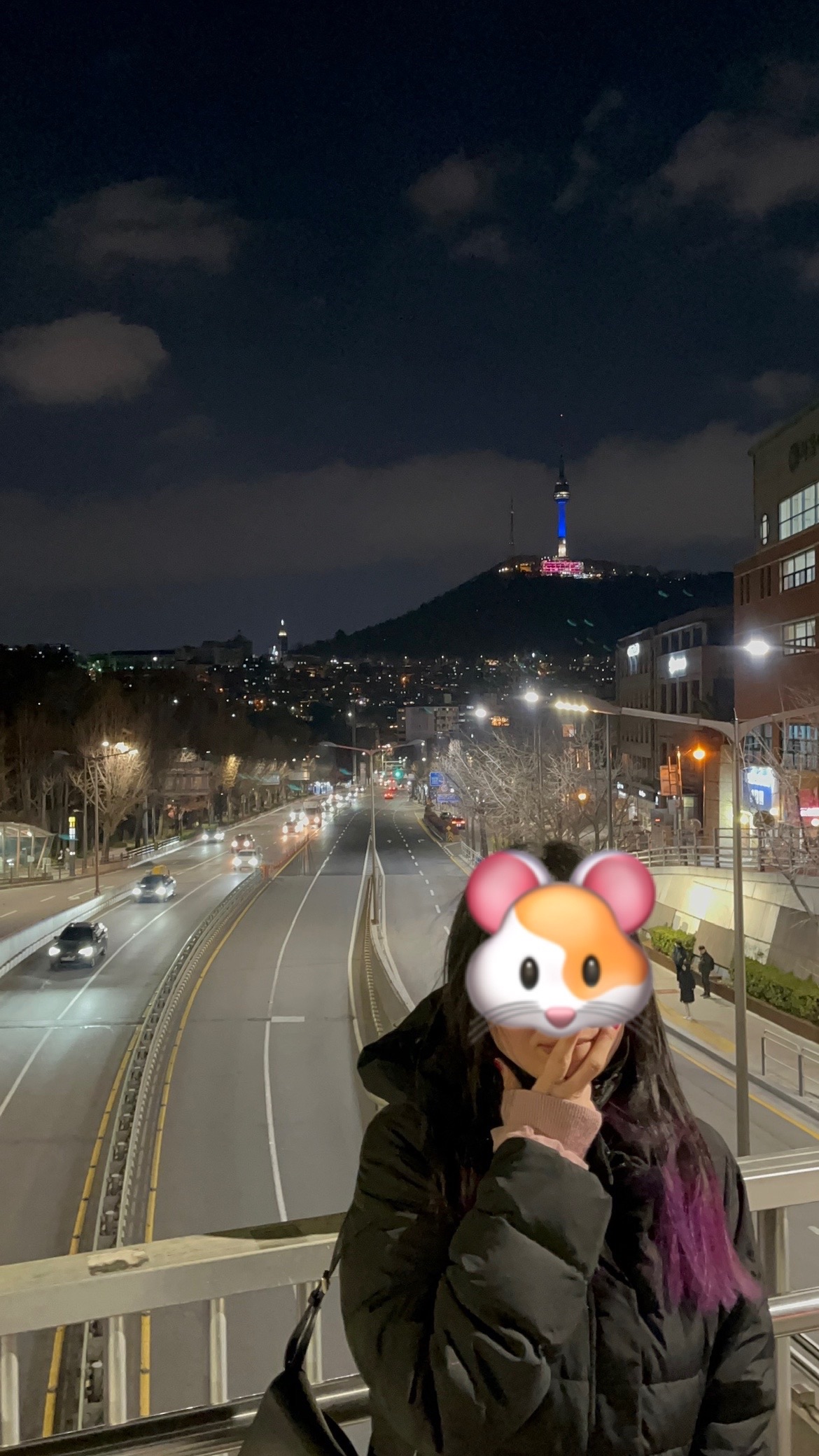 f:id:cyazuke:20240630213145j:image