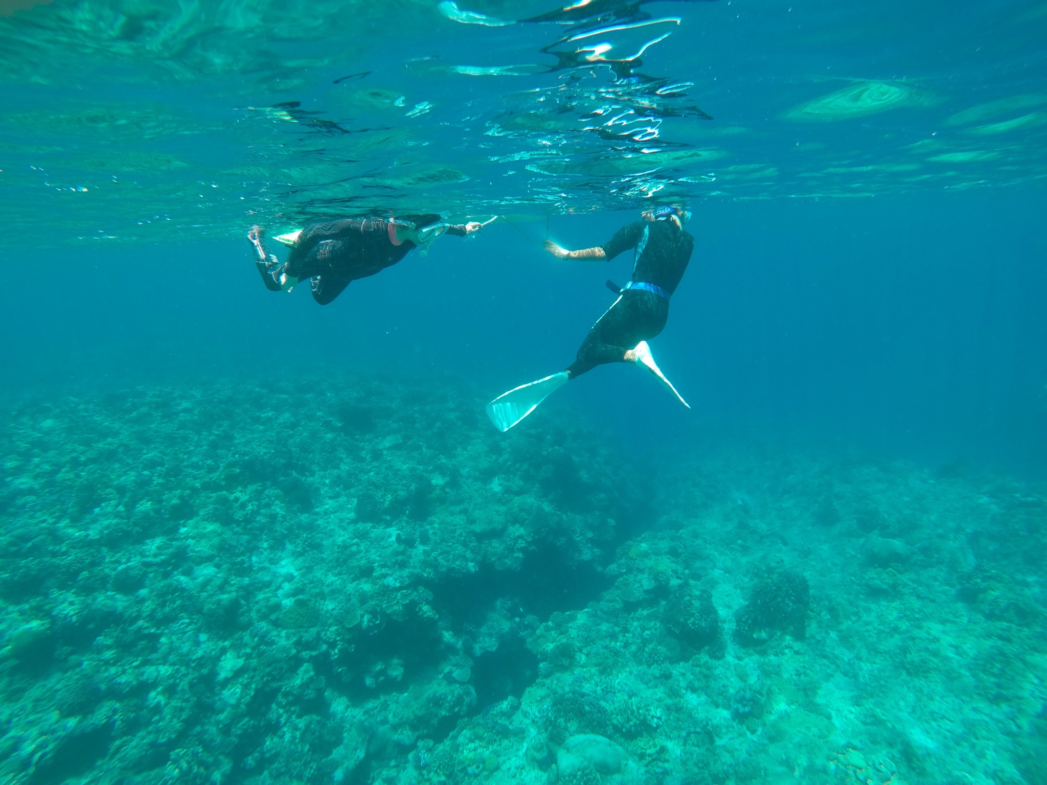 f:id:cyazuke:20240708213325j:image