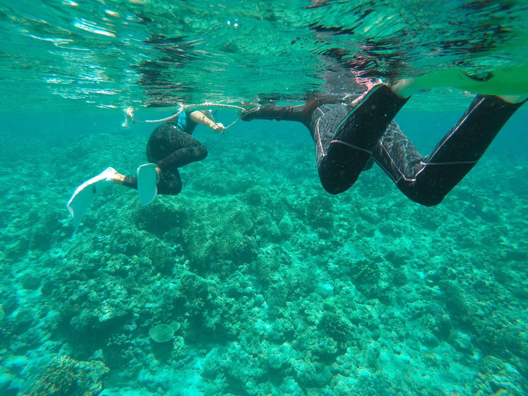 f:id:cyazuke:20240708214042j:image