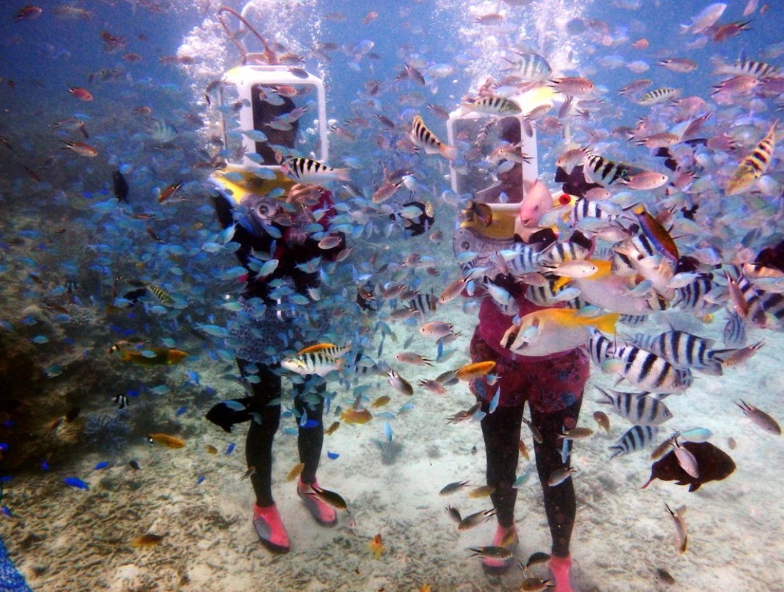 f:id:cyazuke:20240708220929j:image