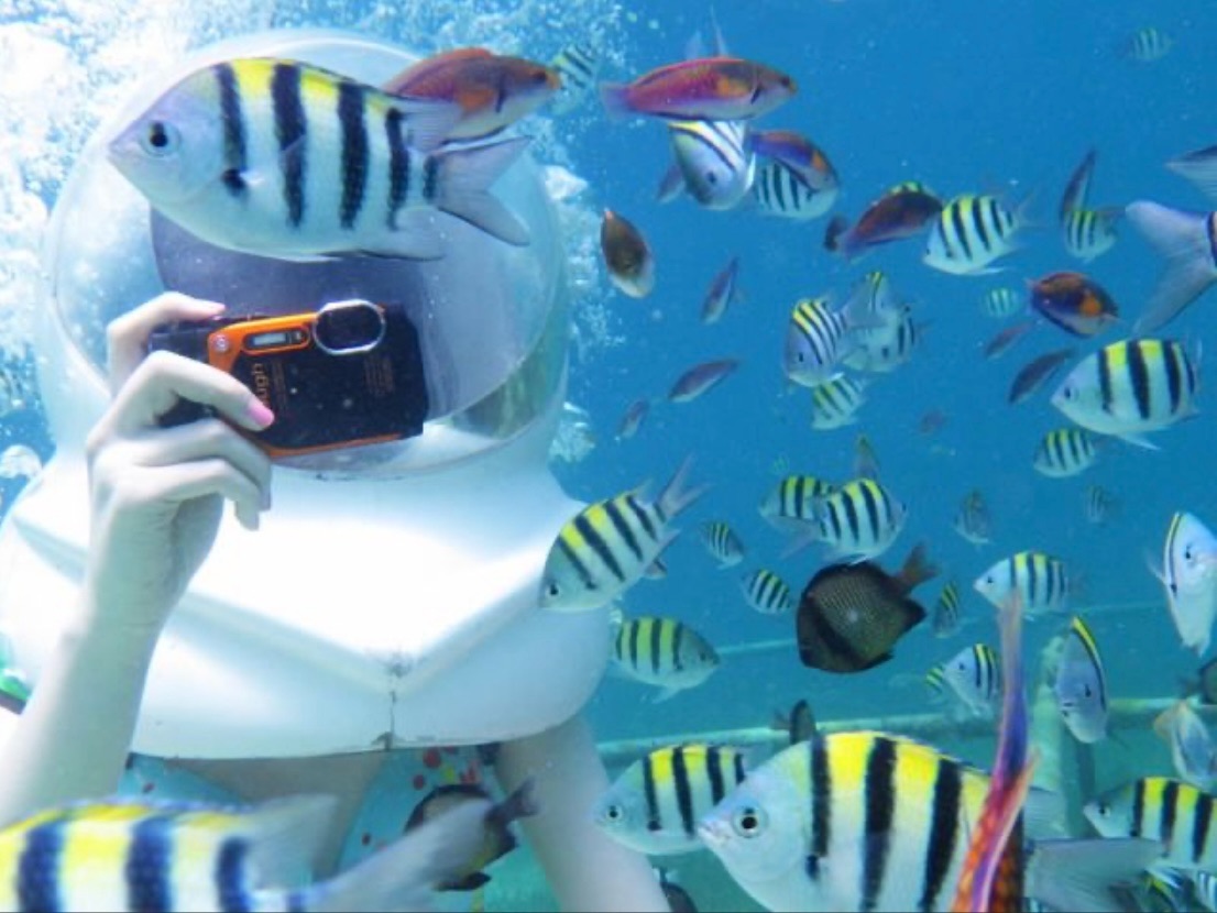 f:id:cyazuke:20240708223429j:image