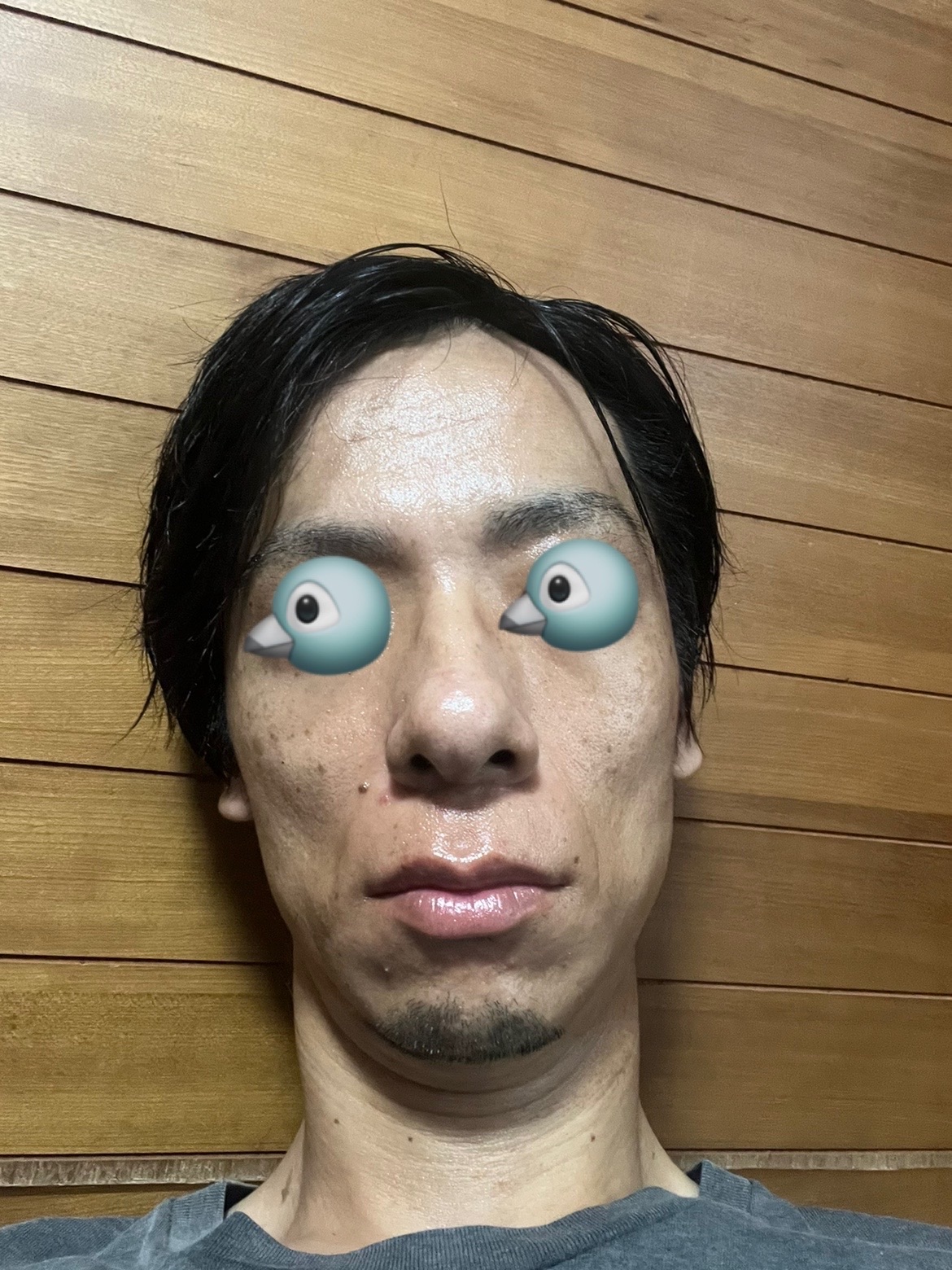 f:id:cyazuke:20240727033038j:image