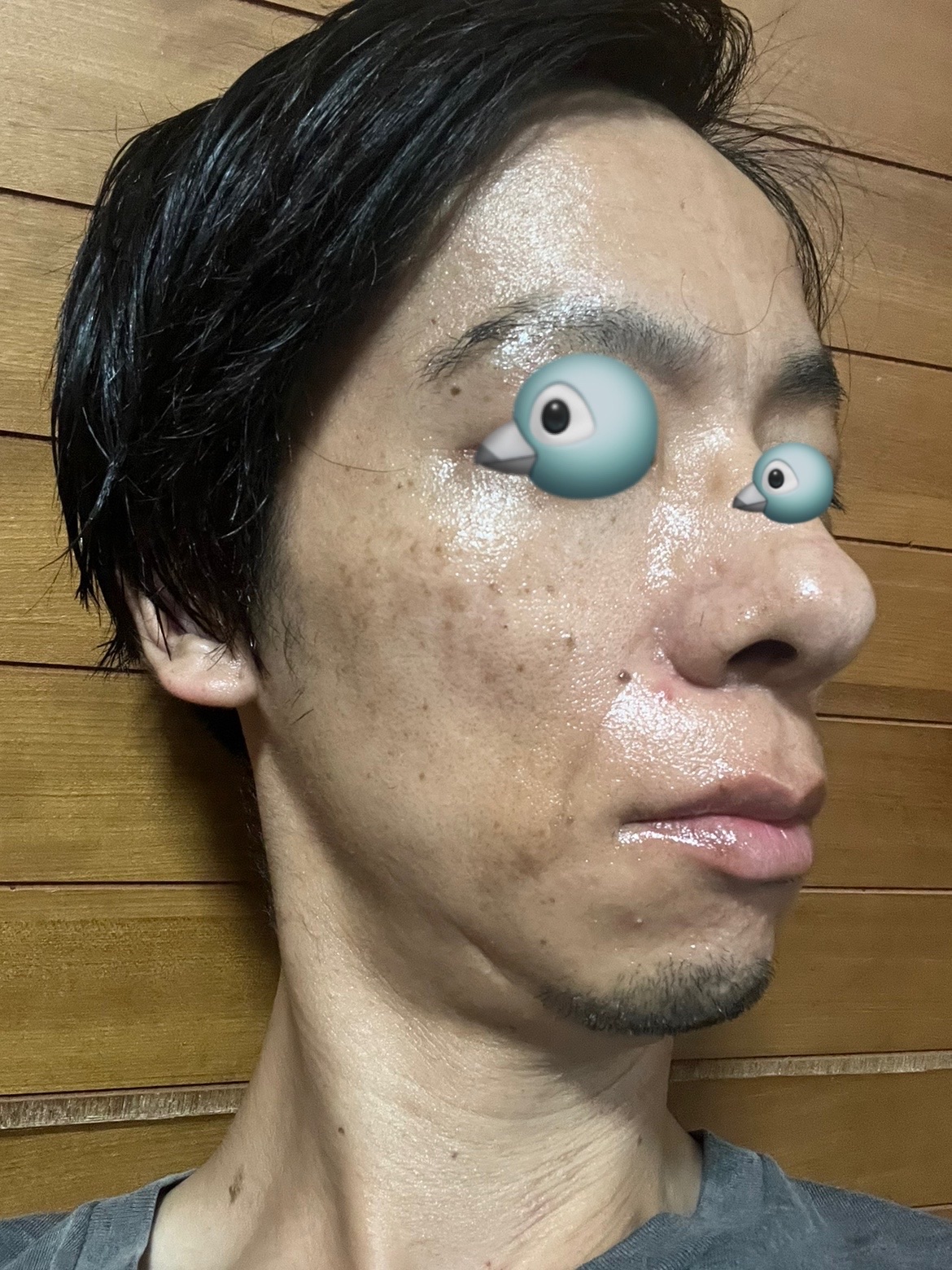 f:id:cyazuke:20240727033056j:image