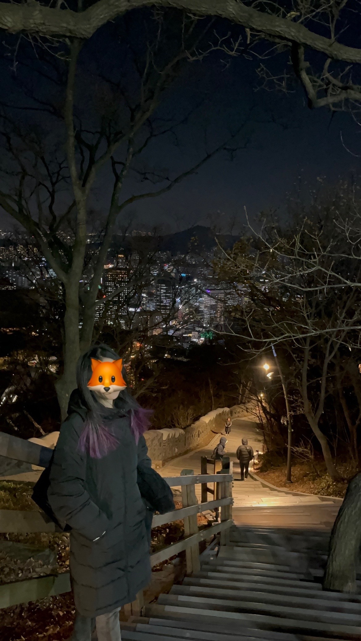 f:id:cyazuke:20240801194652j:image