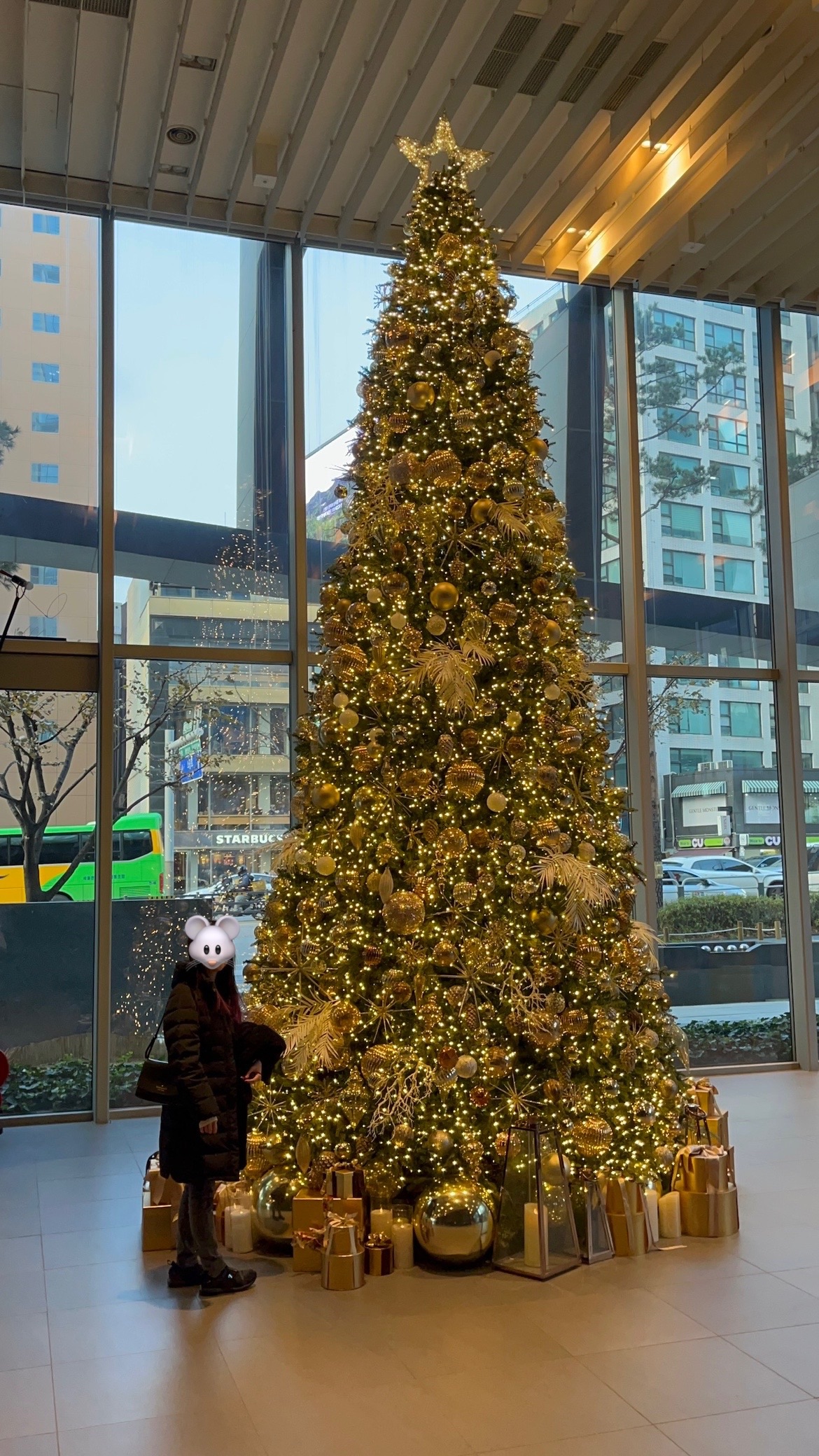 f:id:cyazuke:20240801194700j:image
