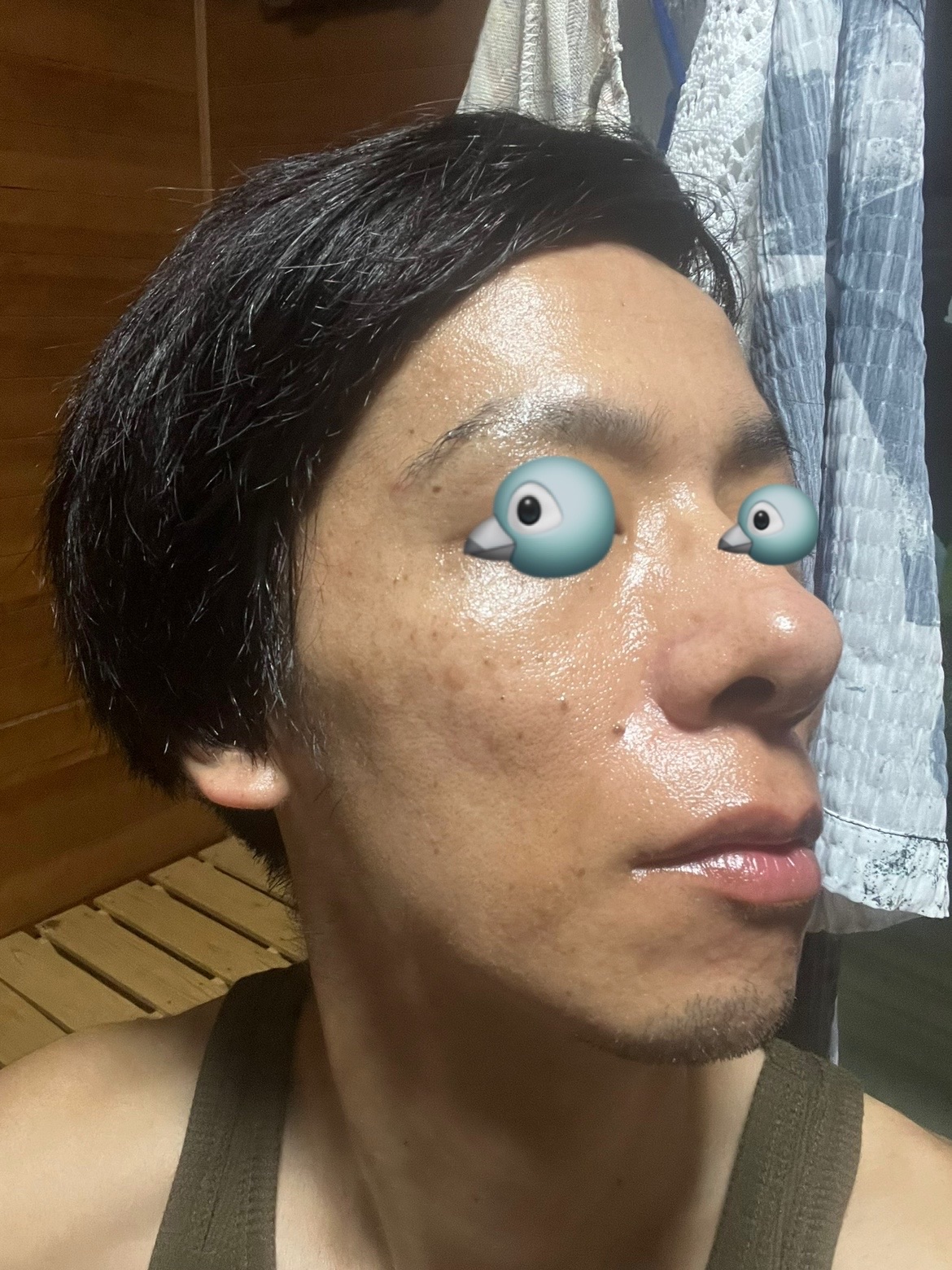 f:id:cyazuke:20240809195916j:image