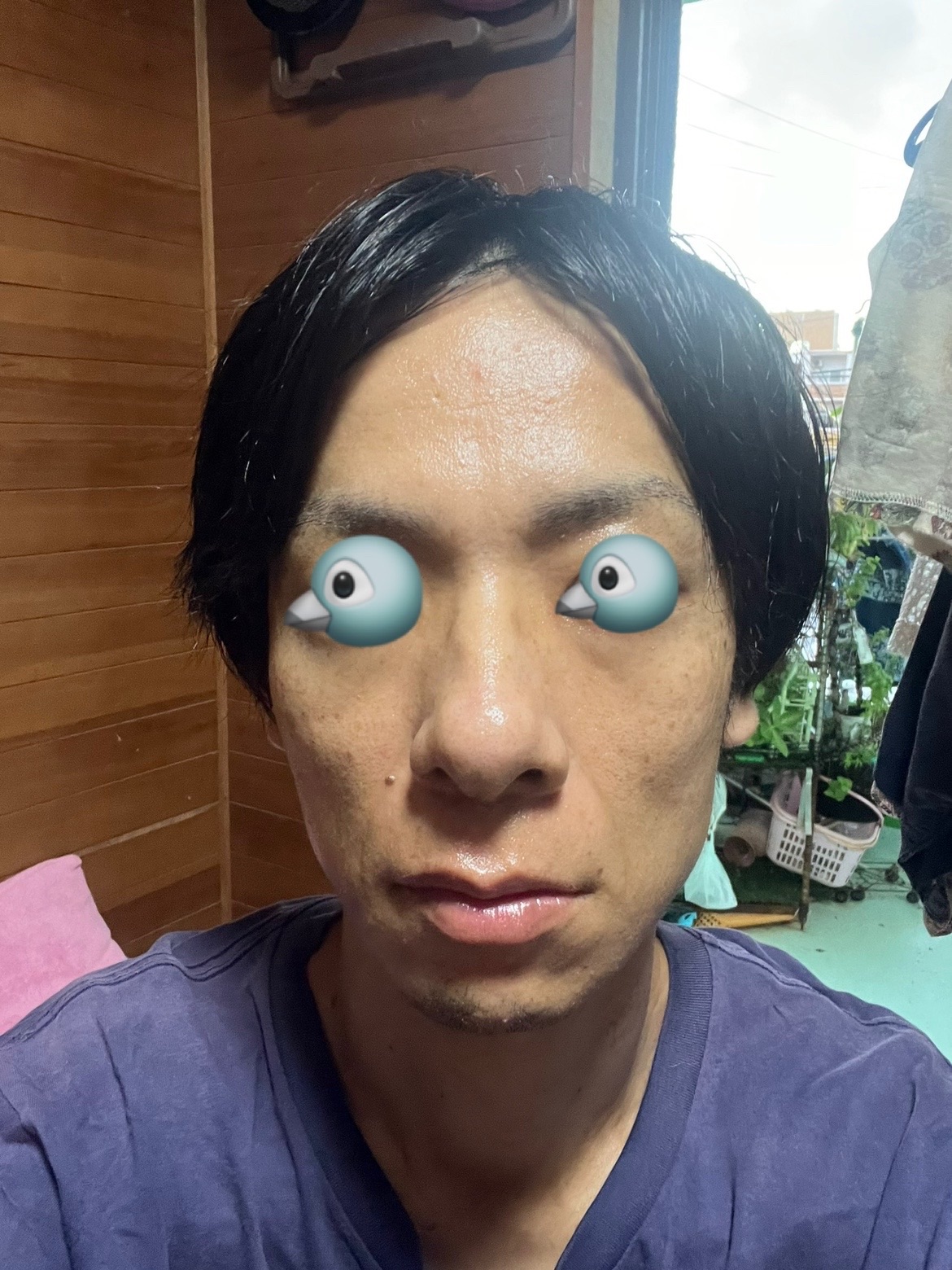 f:id:cyazuke:20240809195919j:image