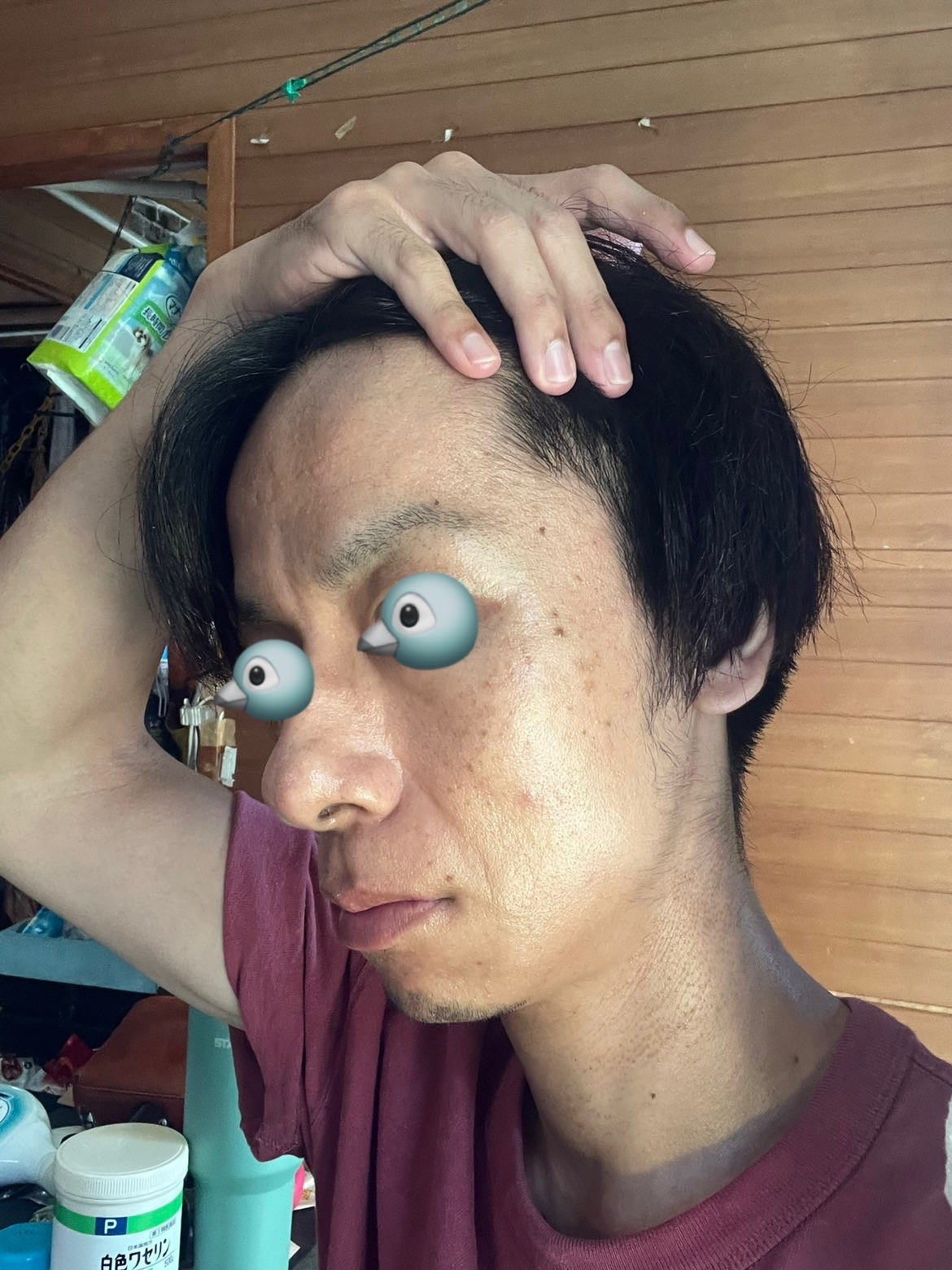 f:id:cyazuke:20240809195925j:image