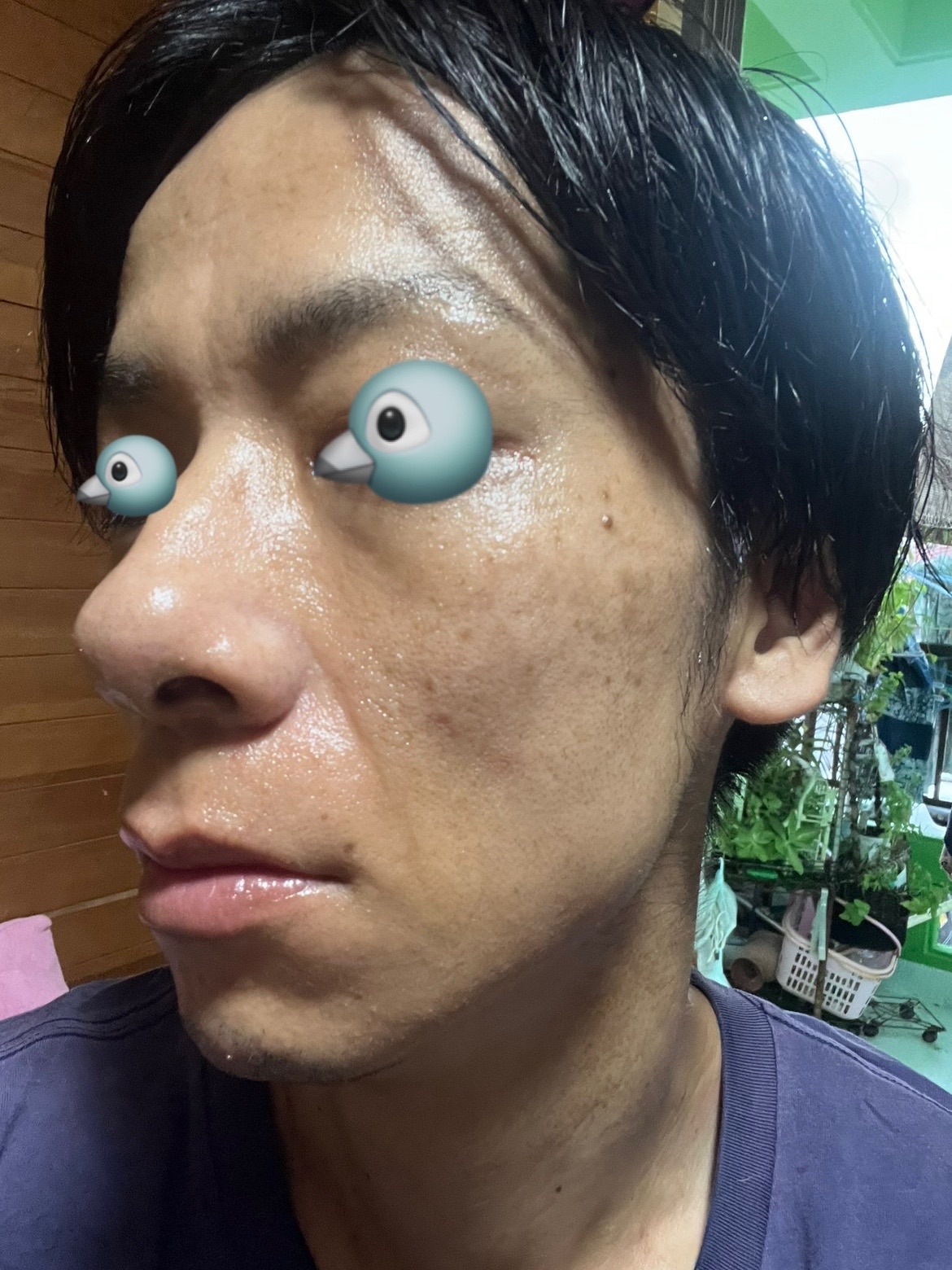 f:id:cyazuke:20240809195932j:image