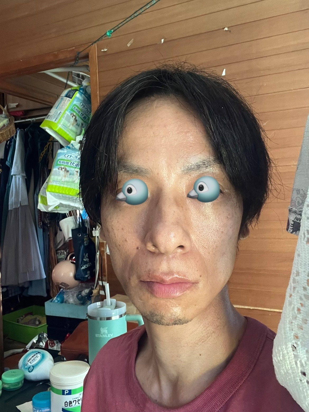 f:id:cyazuke:20240809195941j:image