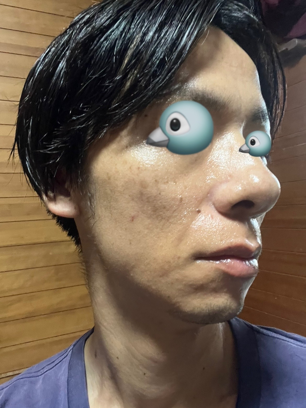 f:id:cyazuke:20240809195944j:image