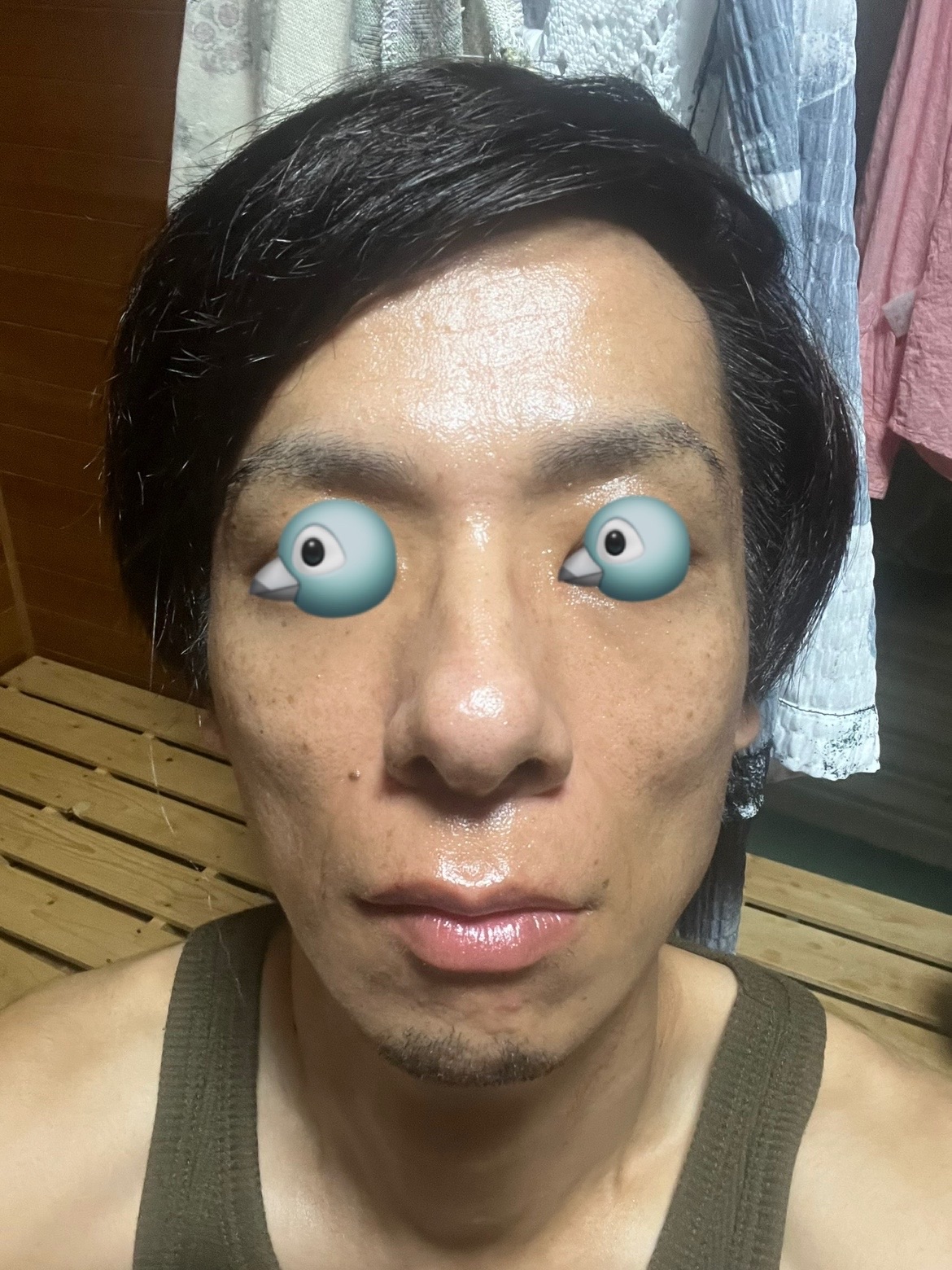 f:id:cyazuke:20240809195947j:image