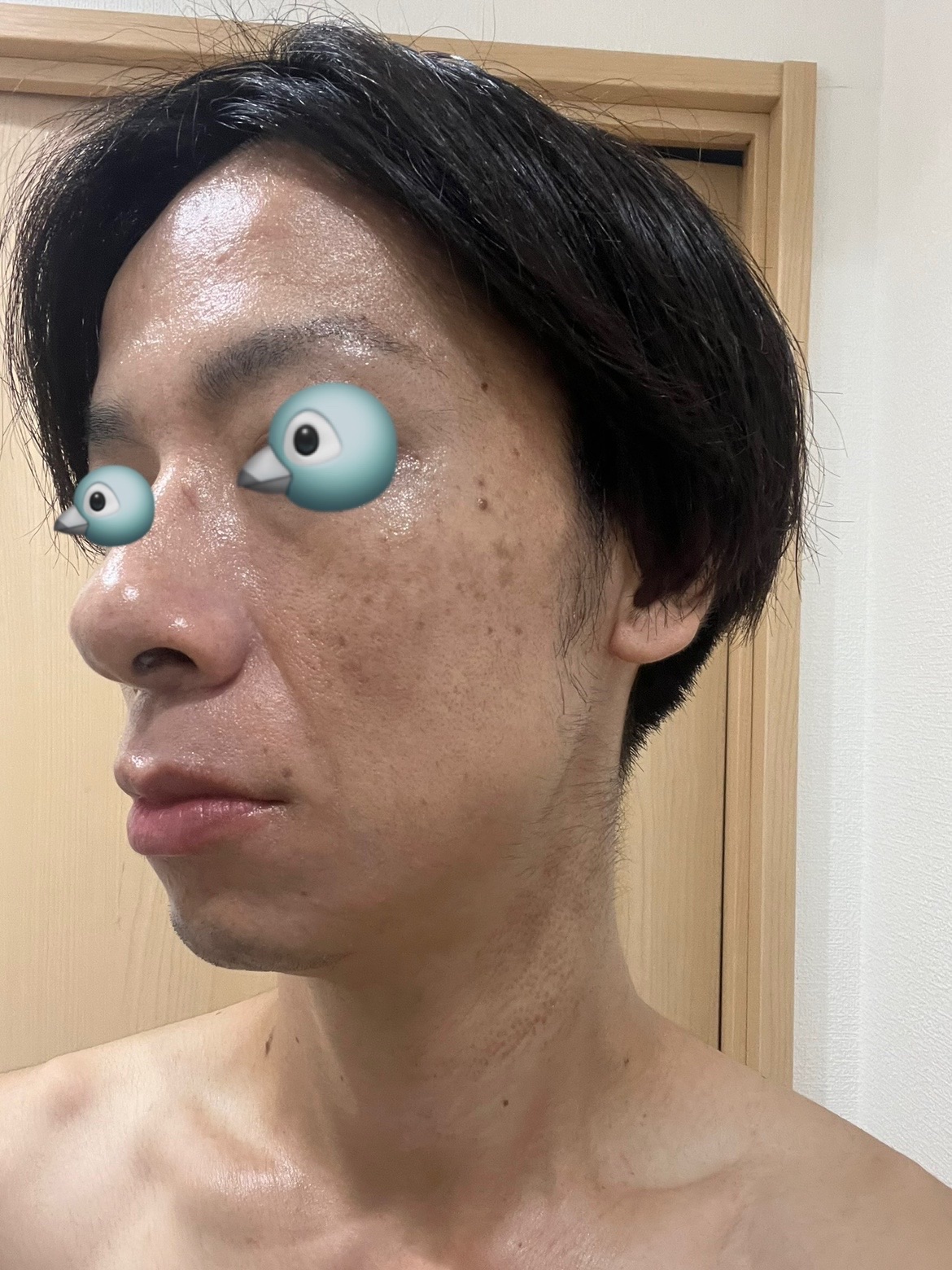 f:id:cyazuke:20240809195950j:image