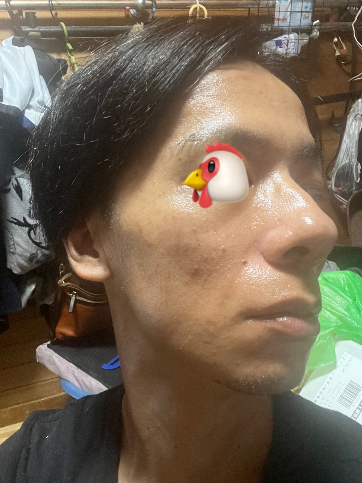 f:id:cyazuke:20240901224540j:image f:id:cyazuke:20240901224540j:image
