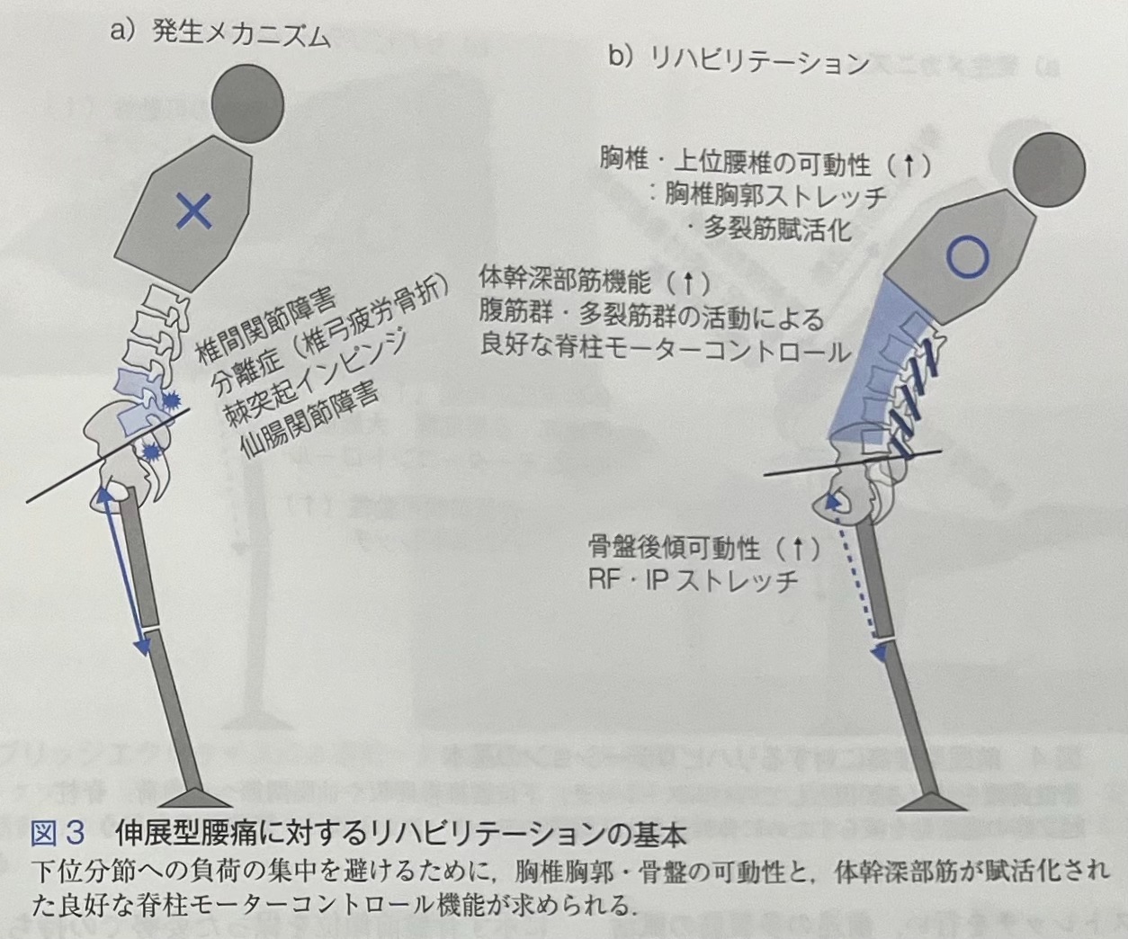 f:id:cyazuke:20240907192510j:image f:id:cyazuke:20240907192510j:image