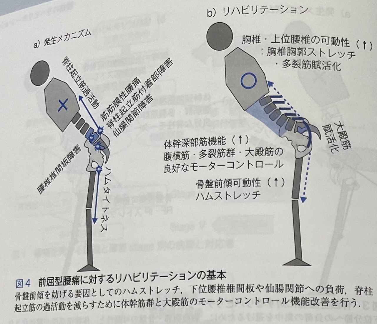 f:id:cyazuke:20240907200848j:image f:id:cyazuke:20240907200848j:image