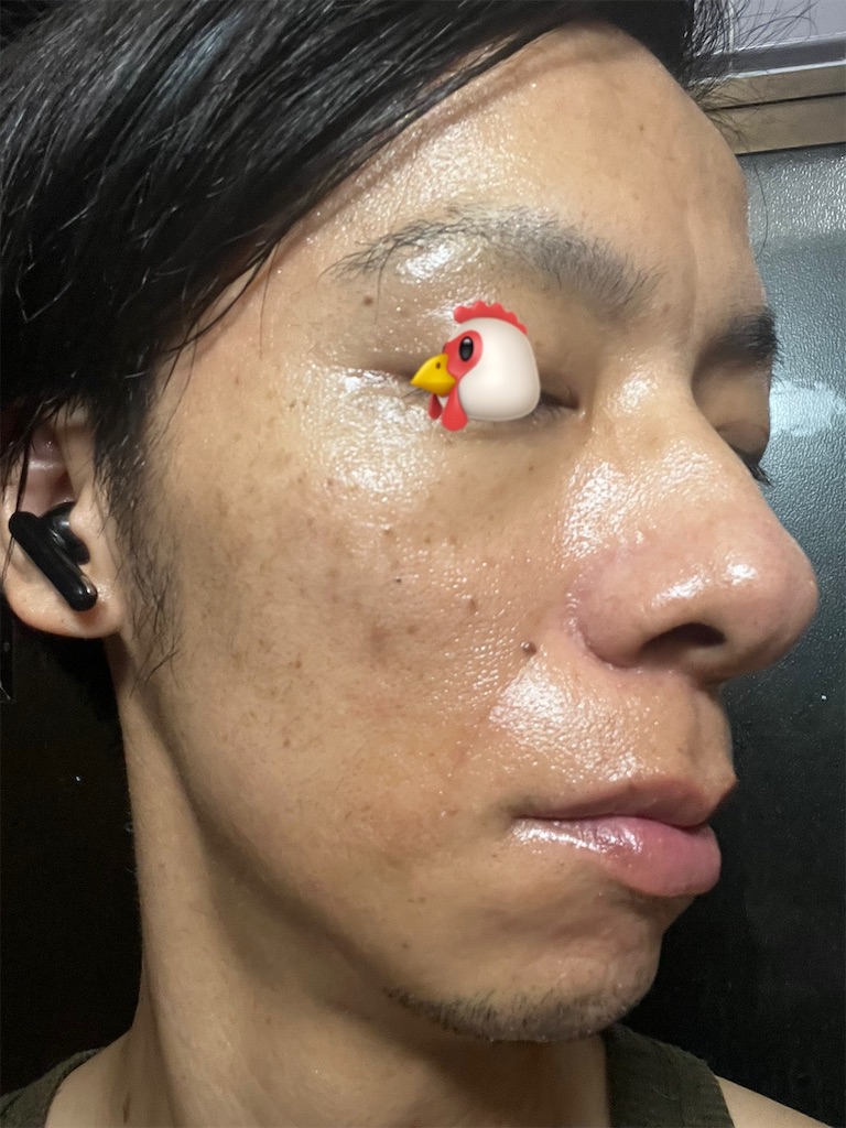 f:id:cyazuke:20241101182600j:image f:id:cyazuke:20241101182600j:image