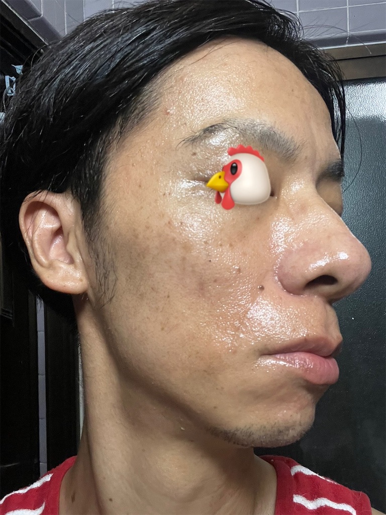 f:id:cyazuke:20241101182608j:image f:id:cyazuke:20241101182608j:image