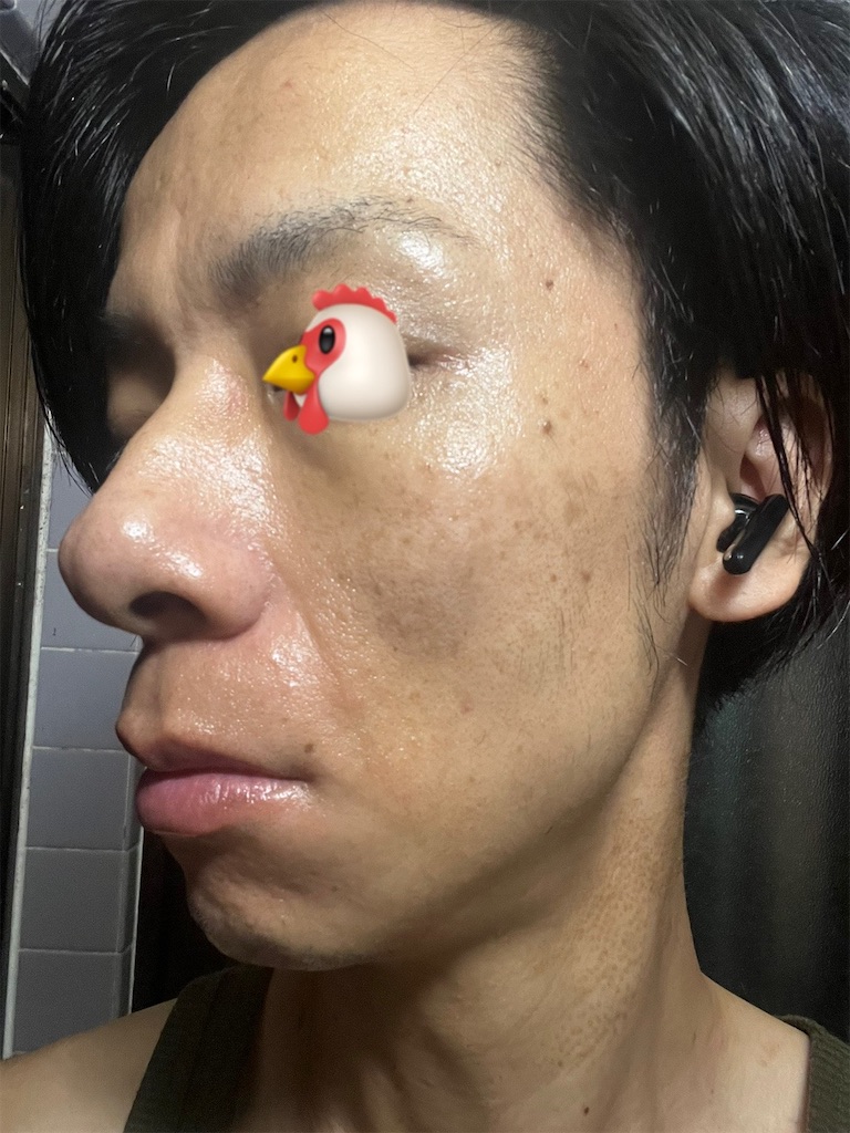 f:id:cyazuke:20241101182612j:image f:id:cyazuke:20241101182612j:image