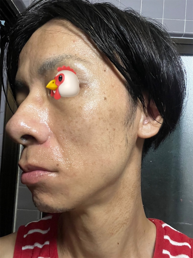 f:id:cyazuke:20241101182622j:image f:id:cyazuke:20241101182622j:image