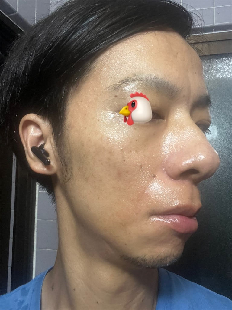 f:id:cyazuke:20241101182633j:image f:id:cyazuke:20241101182633j:image
