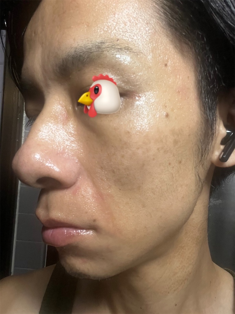 f:id:cyazuke:20241101182644j:image f:id:cyazuke:20241101182644j:image